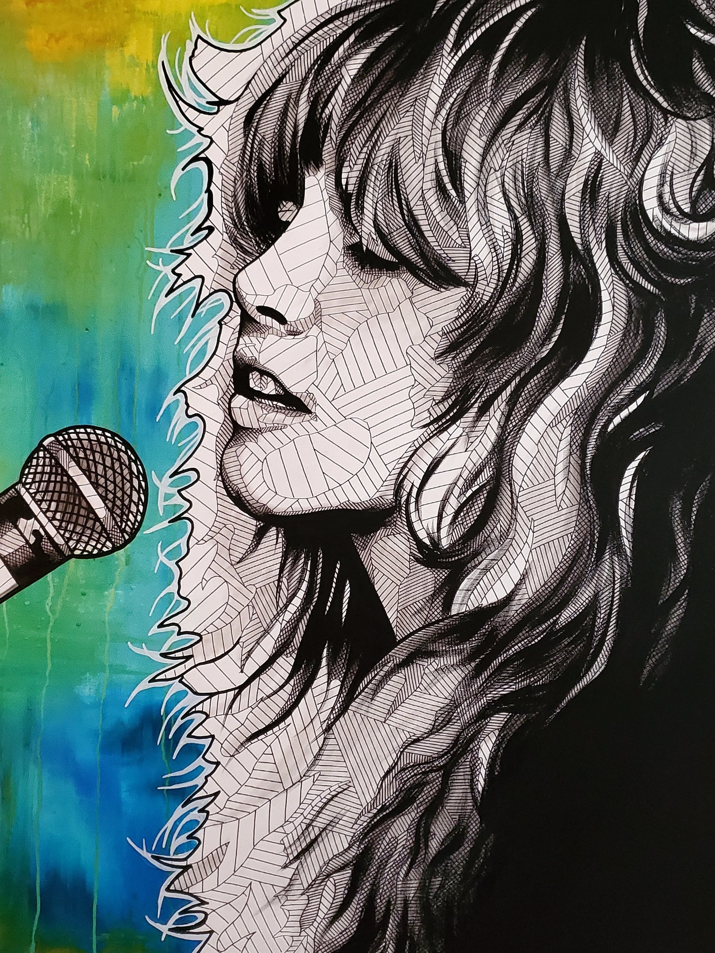 Stevie Nicks